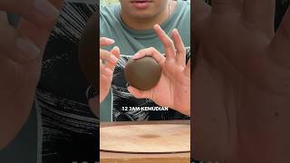 MENCOBA BUAT DORODANGO 😤 [upl. by Heer]