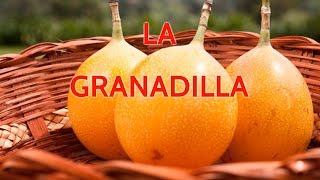 Granadilla Fruta Propiedades y Beneficios de la Granadilla [upl. by Delfine]