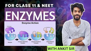 BIOMOLECULES  ENZYMES  CLASS 11  BIOLOGY  rvf neet biology [upl. by Mij]