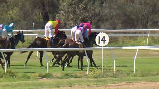 Goondiwindi 20240907 Race 1 [upl. by Roybn665]