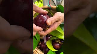 Chinis natural fruits farm village life in china fruit satisfying shortvideo chinaberry [upl. by Id989]