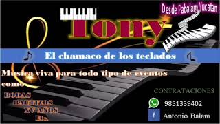 Tema  El l perro Ron TONY EL CHAMACO DE LOS TECLADOS [upl. by Laitselec]