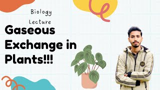 Gaseous Exchange in Plants ☘️  Biology Lecture  Matric Lectures  Sabtain Jamil biology [upl. by Piotr]