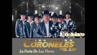 CORONELES DEL RIO En Vivo  La Feria De Las Flores Cover [upl. by Dust]