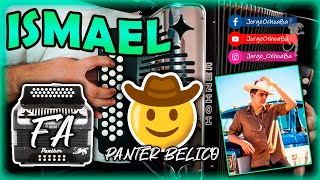 Ismael 🤠 en Acordeón de Fa  Panter Bélico  Tutorial Completo Full HD [upl. by Dugald]