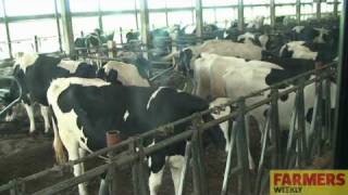 Farmers Weekly visits a 32000 cow dairy [upl. by Spratt]