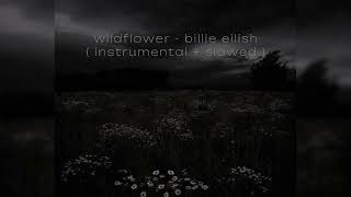 WILDFLOWER  Billie Eilish Instrumental Slowed [upl. by Hairas]