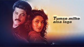 Tumse milke aisa laga Lyrics English Translation [upl. by Legra189]