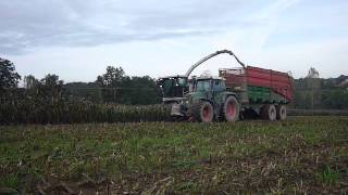 ensilage de sorgho 2012  avec ensileuse claas 940 [upl. by Bogart]