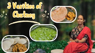 Three Varieties of Chutney  Side dish for Idly Dosa  Recipe in Tamil ammavinsamayalaraiyil [upl. by Haras]