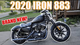 2020 Harley Davidson Sportster Iron 883 Cinematic Walk Around  Black Denim Vance and Hines Exhaust [upl. by Eramat]