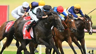 2023 MRC SANDOWN Blue Diamond Stakes [upl. by Schug]