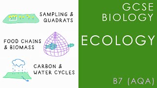 ECOLOGY  GCSE Biology AQA Topic B7 [upl. by Colb]