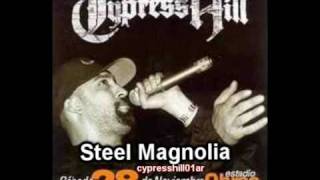 13 Cypress Hill Live Argentina  Steel Magnolia [upl. by Lili]