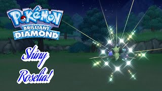 ✨Pokémon Brilliant Diamond SHINY ROSELIA VIA POKERADAR 7CATCH CHAIN NO SHINY PATCH✨ [upl. by Ahsinahs]