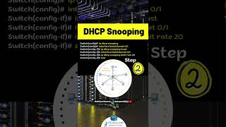 Configure DHCP Snooping in 3 Steps  Quick Configs  IPCiscocom cisco ccna [upl. by Yorgen]