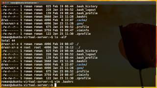 Научись Linux bashrc и команда alias эпизод 8 [upl. by Ogdan]