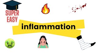 Mediators of Inflammation An Introduction [upl. by Lamoree]