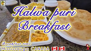 HALWA PURI Explore the vibrant Desi breakfast scene in Mississauga CANADA 🇨🇦 [upl. by Betz]