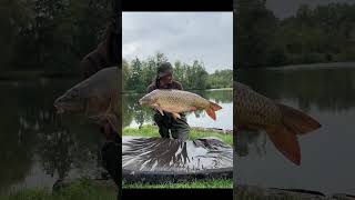 CARP FISHING APRSS LA PLUIE LES CARPES [upl. by Blane]