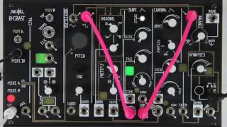 0 Coast Patch of the Week 3 Sync Bass [upl. by Cohligan]