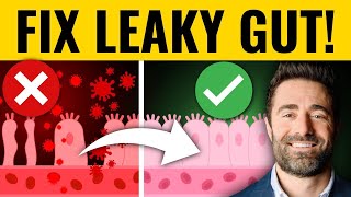 The 4 Most Effective Ways to Treat Leaky Gut Clinical Pearls [upl. by Andriette]