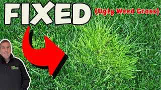 HOW TO FIX WEED GRASS in ONE DAY  POA  AMG  COUCH GRASS  Yorkshire Fog [upl. by Willem]