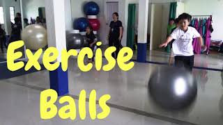 Exercise Balls Fun Games  9 different team activities for PE classes [upl. by Ynahpit]