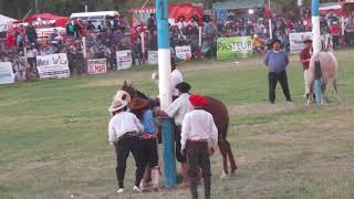 Monta especial Agustin Vallenari vs La Paisanita de Daniel moreno sarmiento chubut [upl. by Anehta]