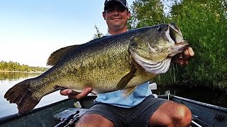 Topwater Bass Fishing Blowups Series 6  50 Big Bass Strikes [upl. by Airamana]