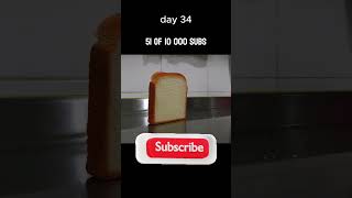 toast fallingtoast cake toast breadrecipe food toastlover bread memes toastbreadrecipe [upl. by Bennett957]