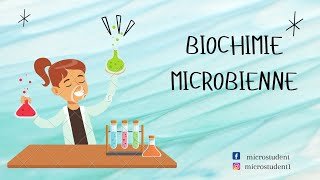 cour 1 partie 13biochimie microbienne  L3 microbio [upl. by Naor]