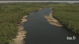 Gabon  flottage du bois près de Port Gentil [upl. by Frieder897]