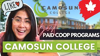 CAMOSUN COLLEGE GET PAID WHILE STUDYING  BEST COOP PROGRAMS for international students in Canada [upl. by Anielram]