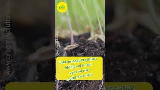 Bio fertilizers for Organic farming  Nitrogen Fixing Bacteria  PSB  KMB  Bacteria for Nutrient [upl. by Marston]