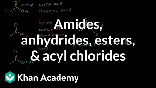 Amides anhydrides esters and acyl chlorides  Organic chemistry  Khan Academy [upl. by Navada380]