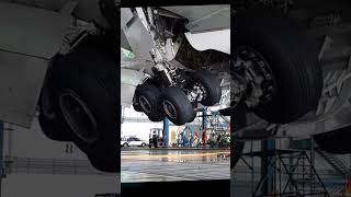 Landing Gear Extension Retraction check aviation automobile usa [upl. by Erodasi]