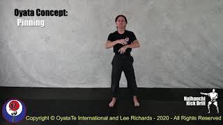 OyataTe Principle Naihanchi Footwork Drills with 3 OyataTe Principles from Taika [upl. by Autumn578]