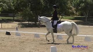 151D Stephanie Engle on Swagger Novice Rider Dressage Twin Rivers Ranch June 2024 [upl. by Craig778]