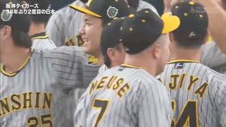 20231105 Japan series Hanshin tigers win [upl. by Ainimre]