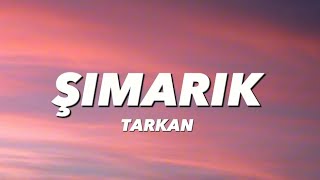 TARKAN  ŞIMARIK MUAH  lyricssözleri [upl. by Haimerej389]