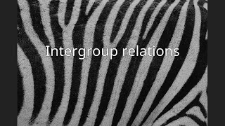 Intergroup relations [upl. by Rocker]