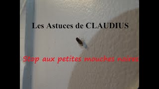 Petites mouches noires  LES ASTUCES DE CLAUDIUSN°1 [upl. by Arica]