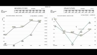 GRINGOLÂNDIA NA BOLSA  Boletim 30032016  12h50 [upl. by Neimad]