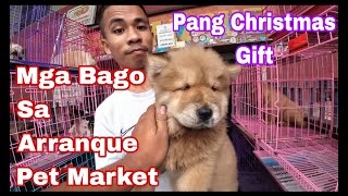 Arranque Pet Market Manila Price Update Dec16 2023 [upl. by Anirroc]