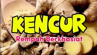 Kencur Rempah Berkhasiat [upl. by Clayson]