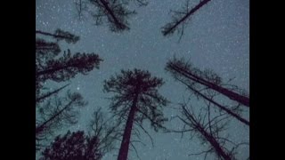 Lyrid Meteor Shower Seen In China [upl. by Imnubulo107]