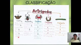 Introdução a Entomologia [upl. by Giardap826]