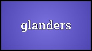 Glanders Meaning [upl. by Akilam353]