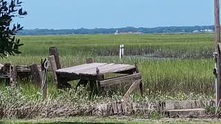 Barge Traversing the IntraCoastal Waterway [upl. by Anum]